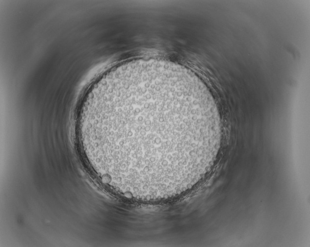 X0000111490149200908111232
