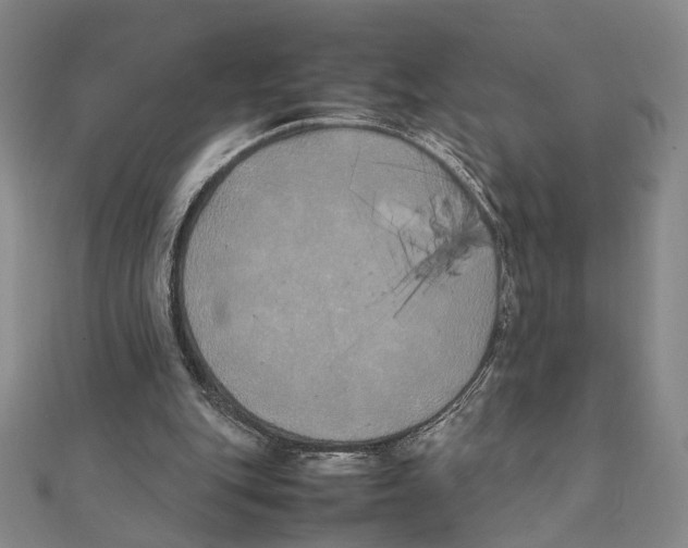 X0000111490151200908111232