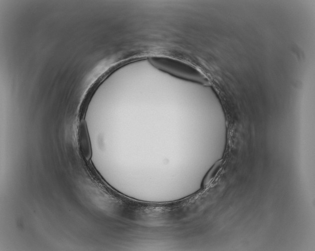 X0000111490152200908111232