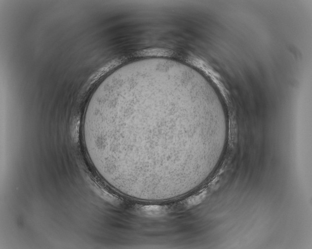 X0000111490153200908111232