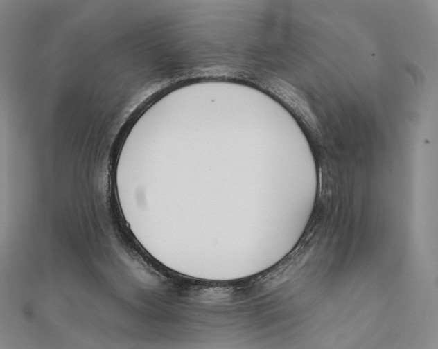 X0000111490156200908111232