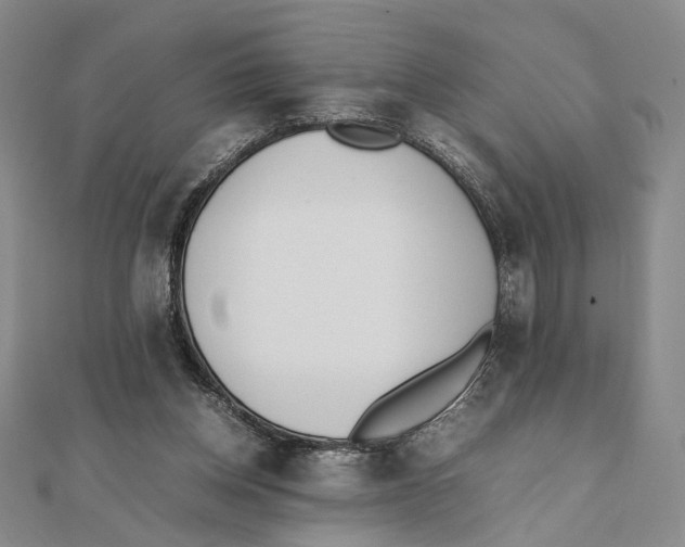 X0000111490158200908111232