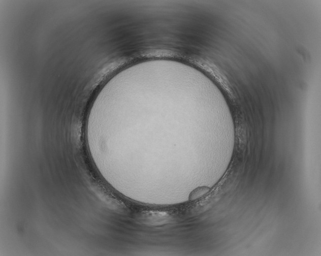 X0000111490159200908111232