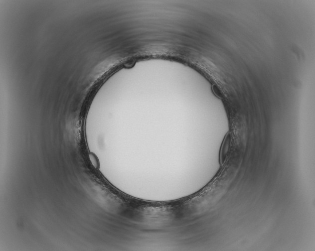 X0000111490160200908111232