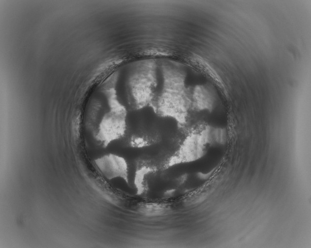 X0000111490163200908111232