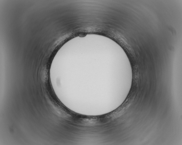X0000111490164200908111232