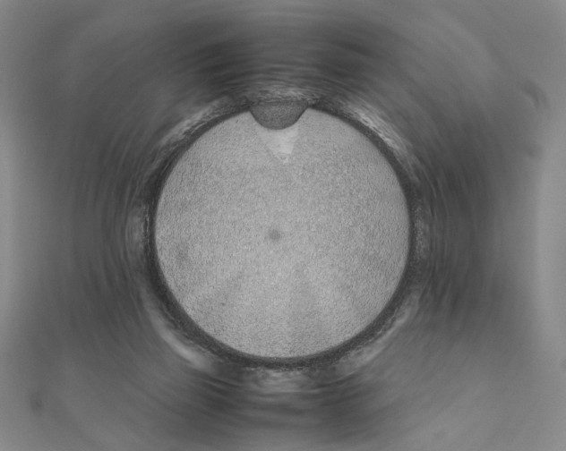 X0000111490165200908111232