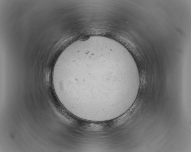 X0000111490166200908111232