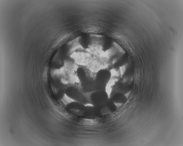 X0000111490167200908111232