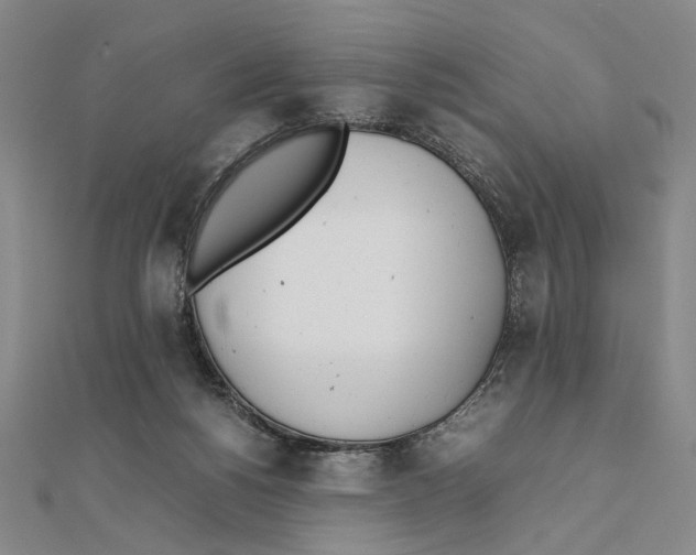 X0000111490168200908111232