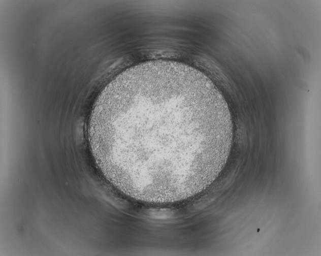 X0000111490169200908111232