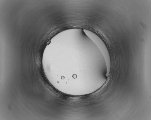 X0000111490170200908111232