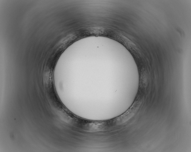 X0000111490172200908111232