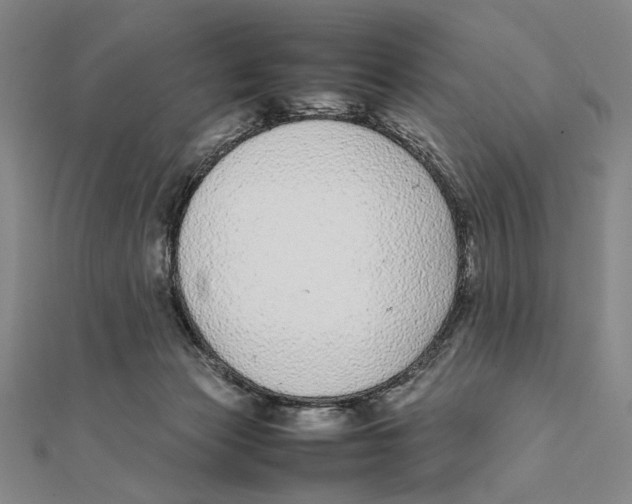 X0000111490173200908111232