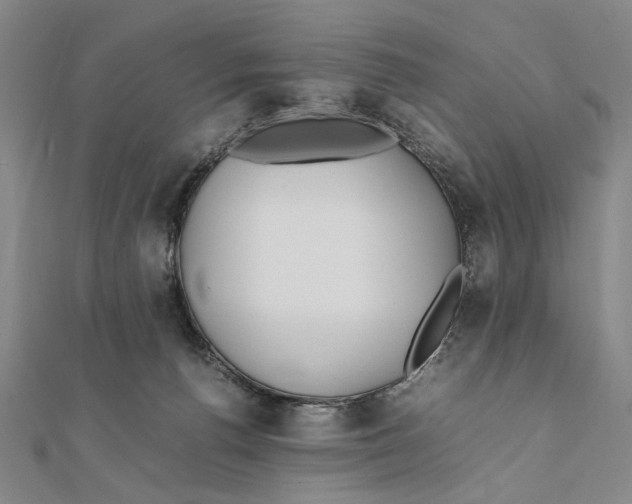 X0000111490176200908111232