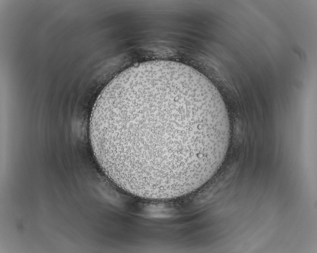 X0000111490177200908111232