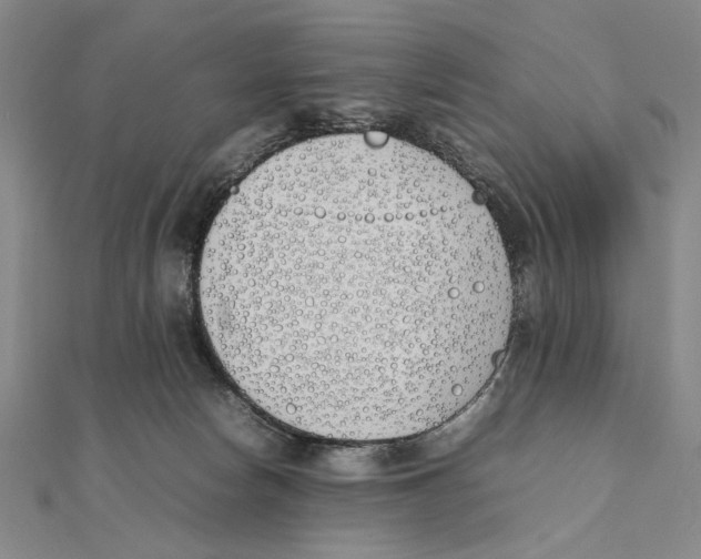 X0000111490178200908111232