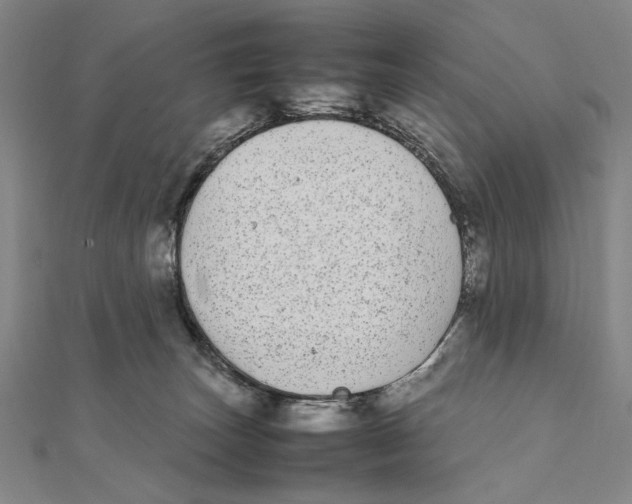 X0000111490179200908111232