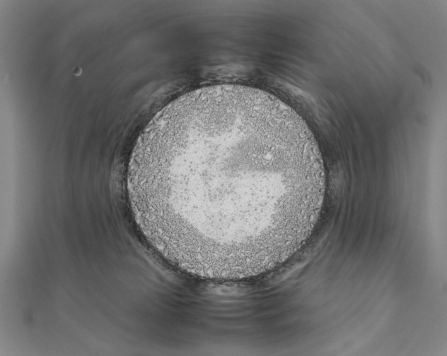 X0000111490181200908111232
