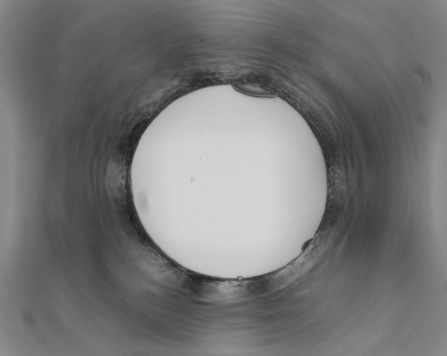 X0000111490184200908111232