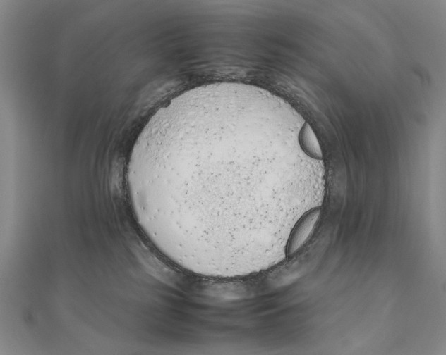 X0000111490185200908111232