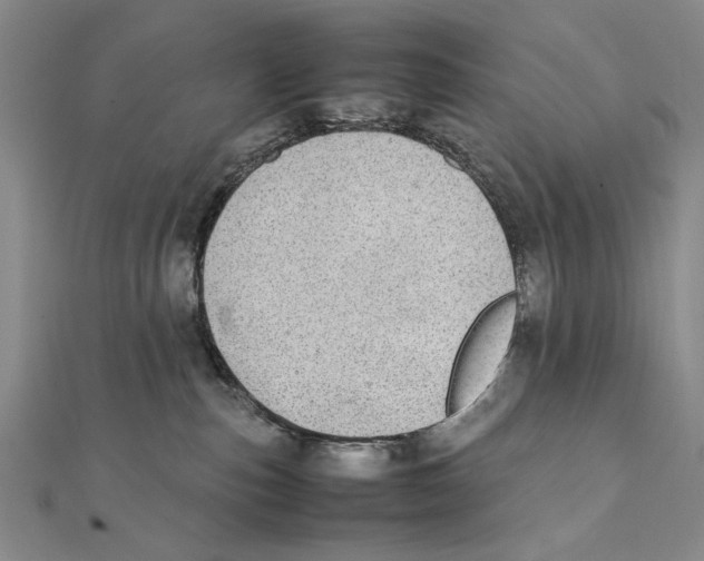 X0000111490187200908111232