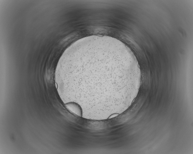 X0000111490189200908111232