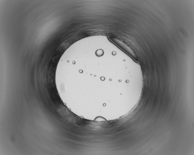 X0000111490190200908111232