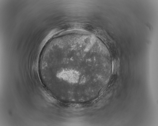X0000111490195200908111231