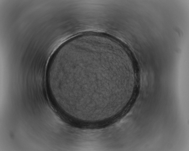 X0000111490196200908111231
