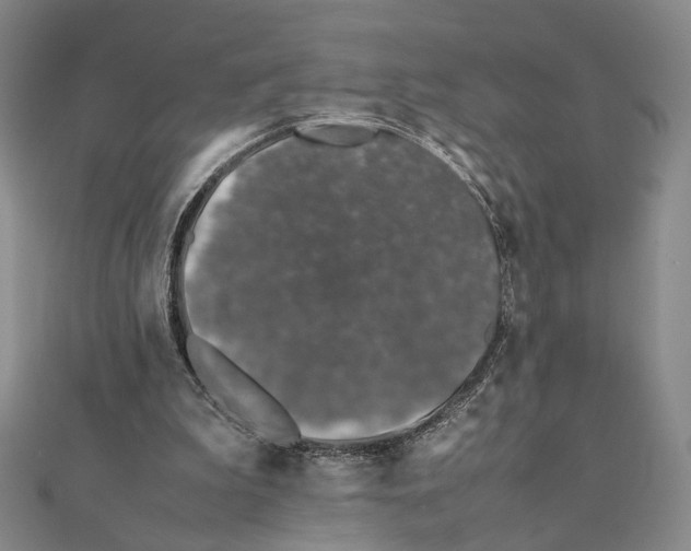 X0000111490199200908111231