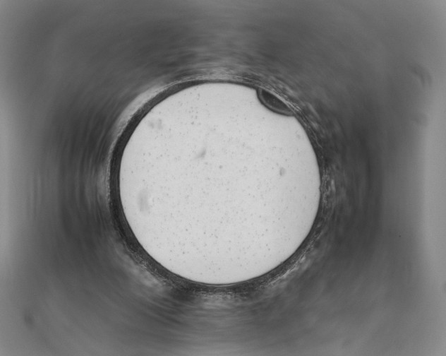 X0000111490200200908111231