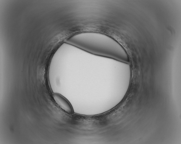 X0000111490201200908111231