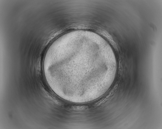 X0000111490202200908111231