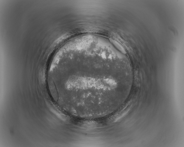 X0000111490203200908111231
