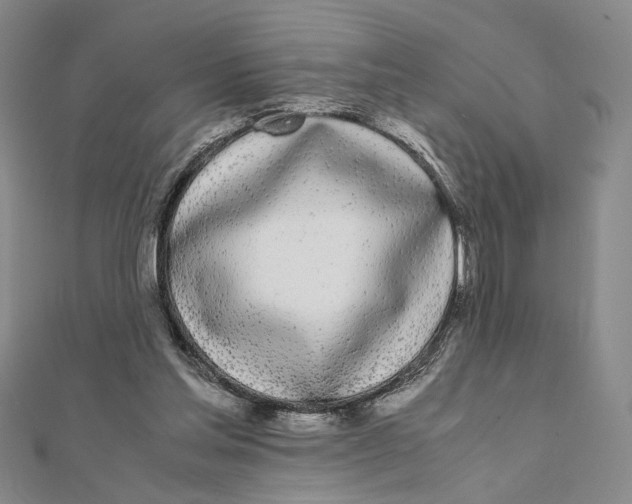 X0000111490205200908111231