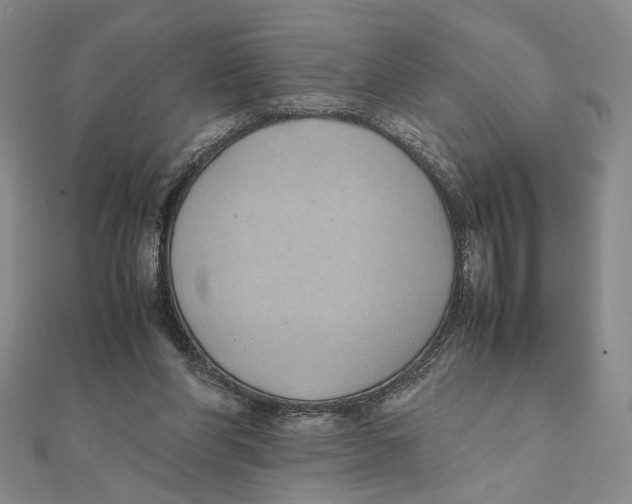 X0000111490206200908111231