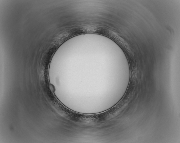 X0000111490209200908111231