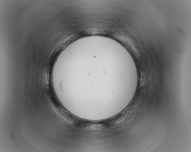 X0000111490210200908111231