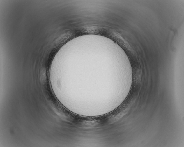 X0000111490213200908111231