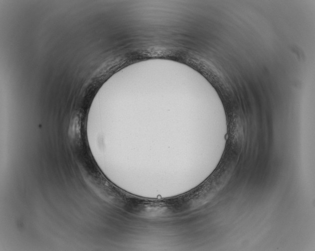 X0000111490214200908111231