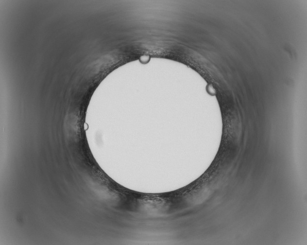 X0000111490215200908111231