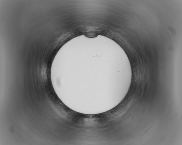 X0000111490216200908111231
