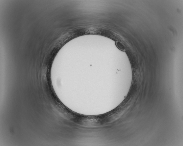 X0000111490217200908111231