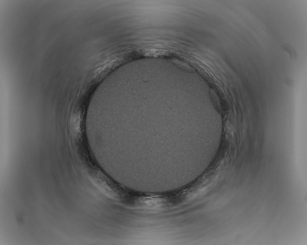 X0000111490219200908111231