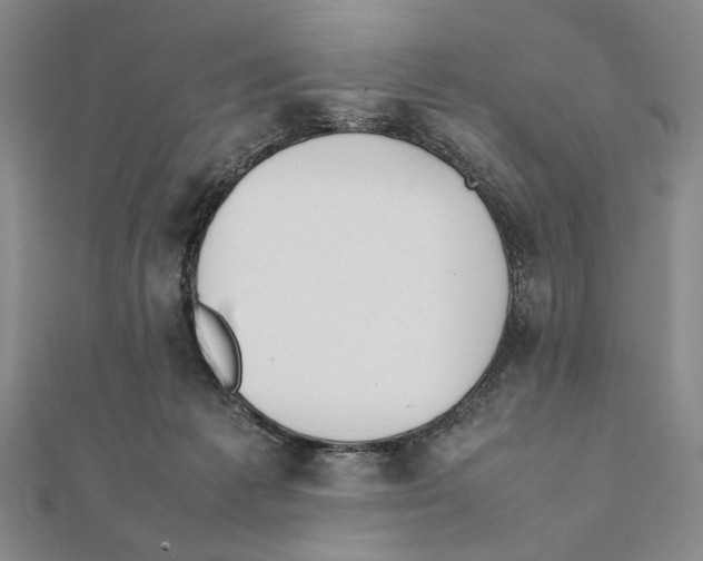 X0000111490221200908111231