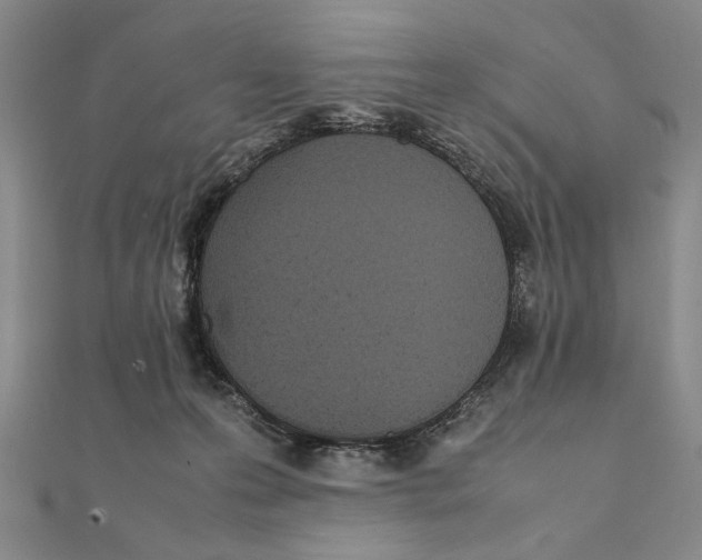 X0000111490223200908111231