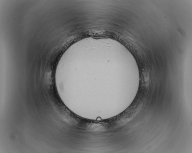 X0000111490224200908111231