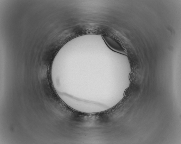 X0000111490225200908111231