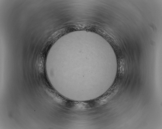 X0000111490226200908111231
